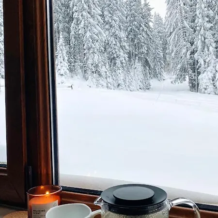 Area 202 Apt, The Castle 1, Apartment Pamporovo