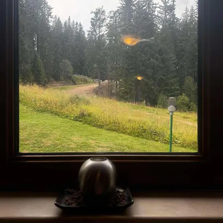 Area 202 Apt, The Castle 1, Pamporovo