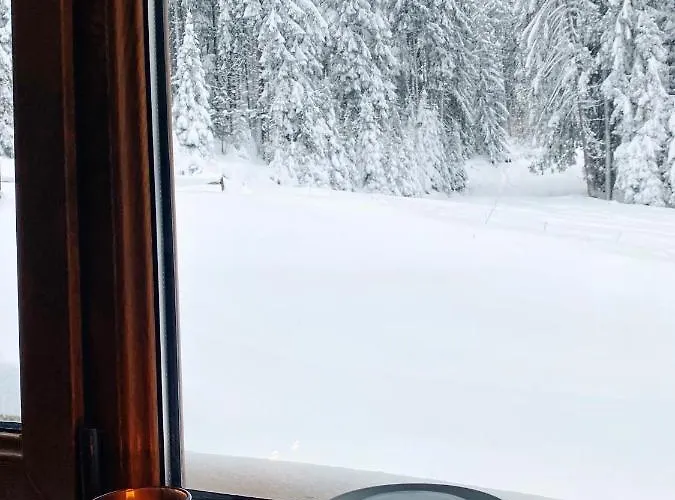 Area 202 Apt, The Castle 1, Lägenhet Pamporovo