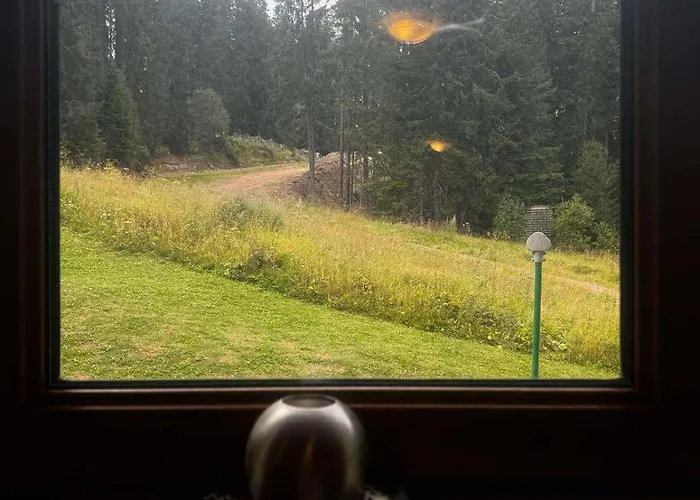 Area 202 Apt, The Castle 1, Pamporovo